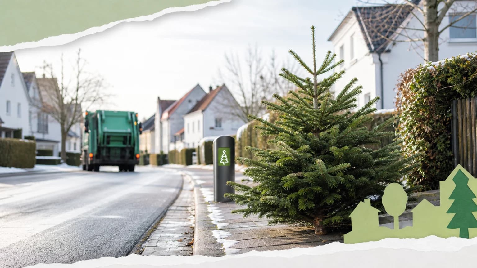 Weihnachtsbaum selbst schlagen im Mühlhäuser Stadtwald